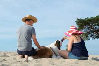 Bernhardiner am Strand trinkt aus einer Flasche